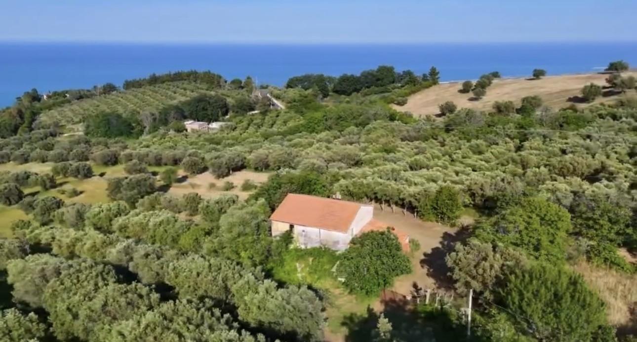 Région des ABRUZZES sur l'Adriatique, MAS AGRICOLE et ses 500 oliviers (pleine vue mer) à rénover, potentiel exceptionnel