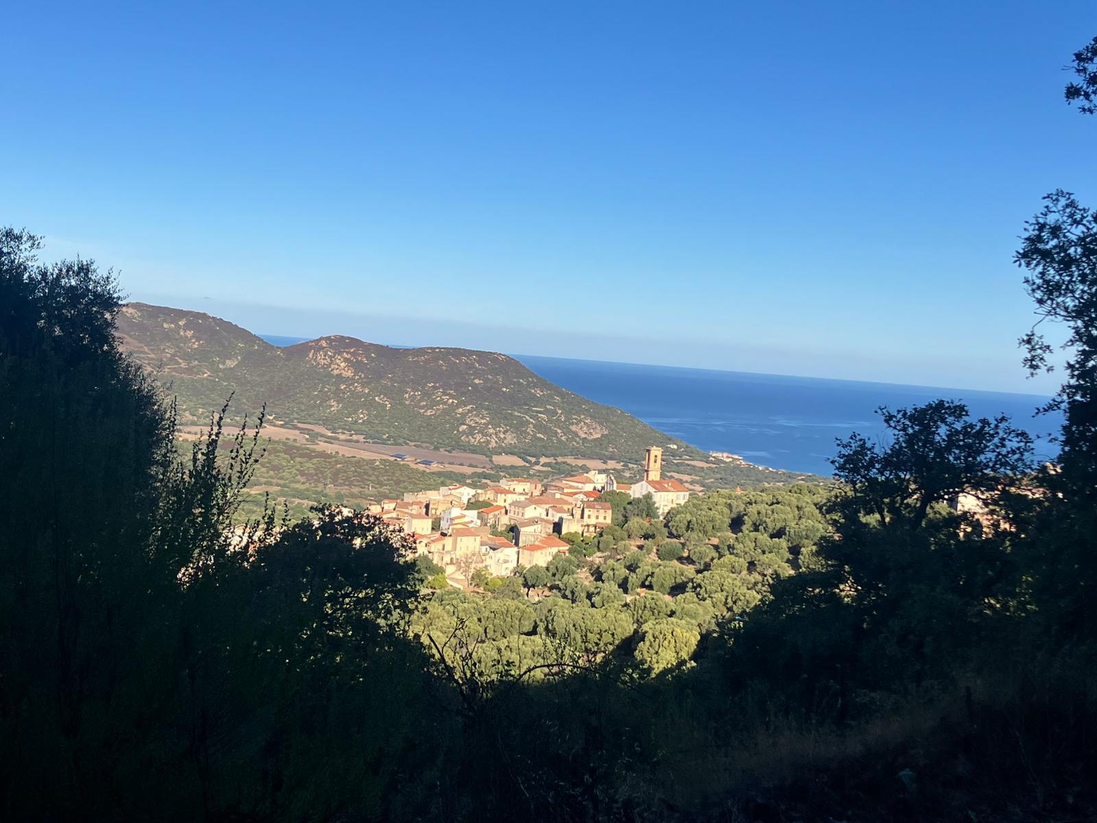 Terrain à vendre - Commune d'AREGNO (20220) - CORSE